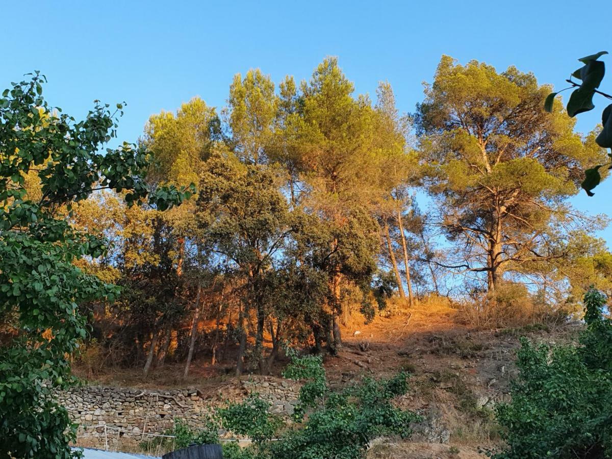 Apartment Cal Viola Torroja المظهر الخارجي الصورة